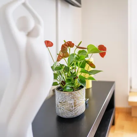 Apartament 